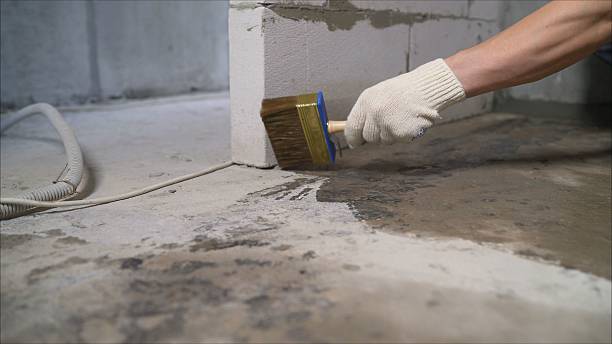 SJ Waterproofing Pros Waterproofing coverage map for Wellington, AL and surrounding area